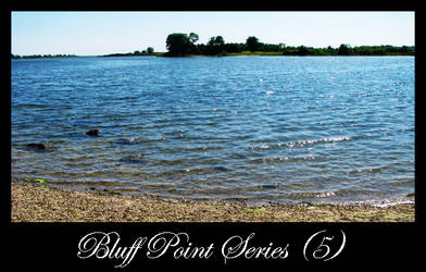 Bluff Point 5