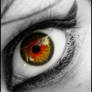 eye