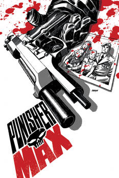 Punisher Max 21