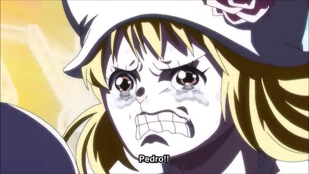 One Piece Episode 849 By Animewikia On Deviantart