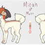 Micah Ref 2018