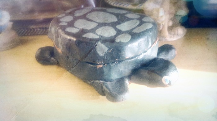 Tortuga by eldesastredemaria