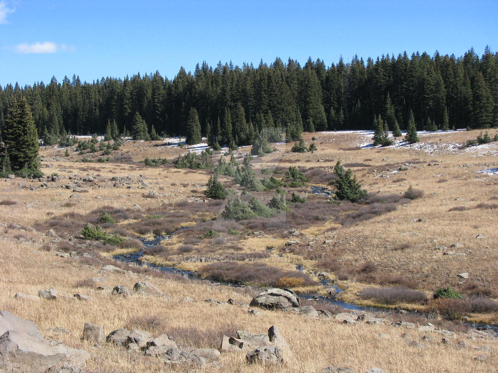 Kannah Creek Bed II