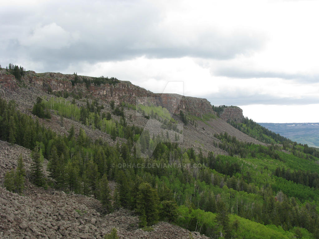 Grand Mesa National Forest VI