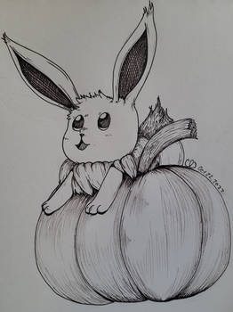 Eevee Pumkin