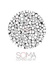 The Soma Effect