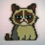 Grumpy Cat