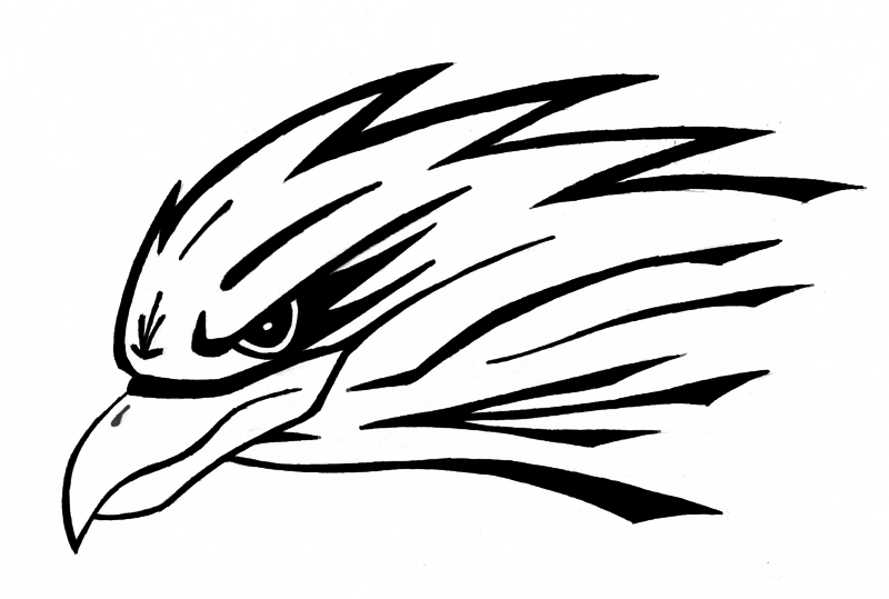 Hawk Head By Kamakazi32 On Deviantart Hawk Head By Kamakazi32 On Deviantart