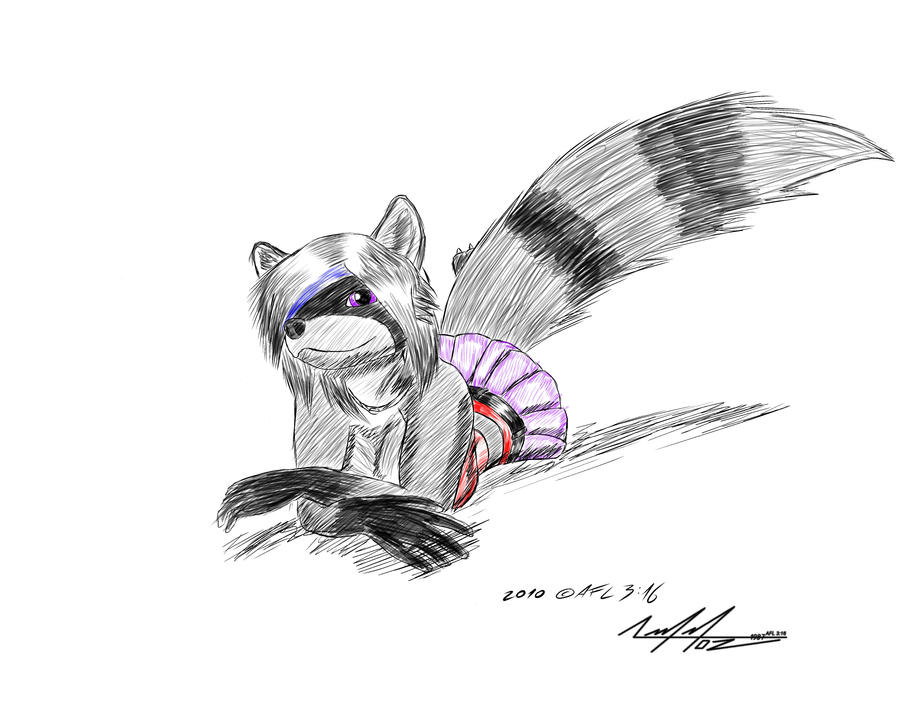 Raccon 3 by AFL316 on DeviantArt