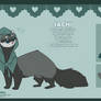 Ref-Sheet: Sachi_the_Ferret