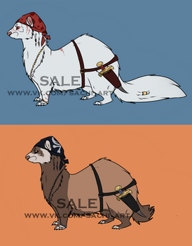 Pirate ferret_Adopts