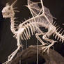 same ceramic dragon skeleton