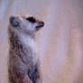 needle felted meerkat 2