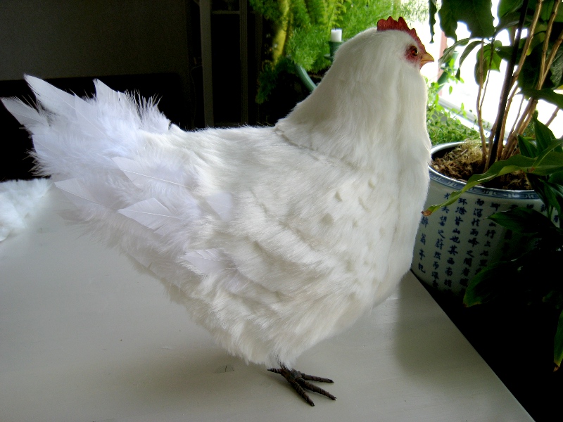 Hen 2