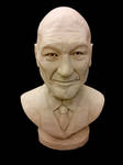 Patrick Stewart by earfox