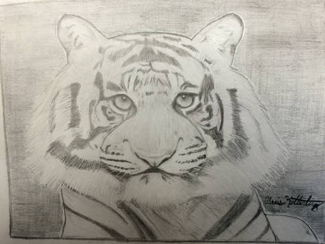 Tiger (pencil illustration)