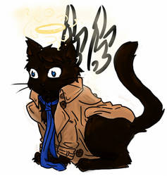 Cas Cat