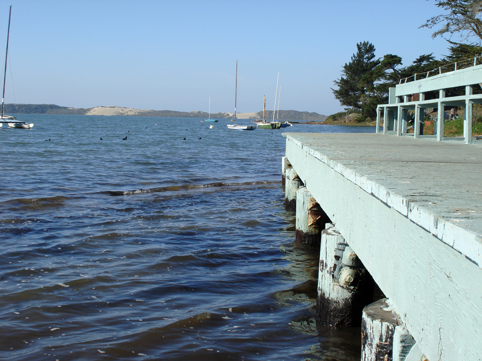 Bay and Boats