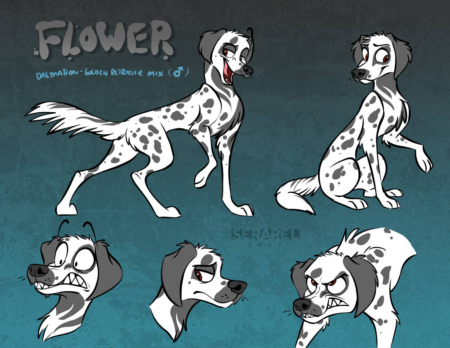 Dalmatian and online golden retriever mix