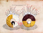 .Breakfast in wonderland. by Nonnetta