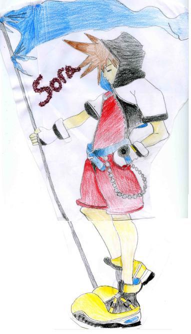 Sora with flag