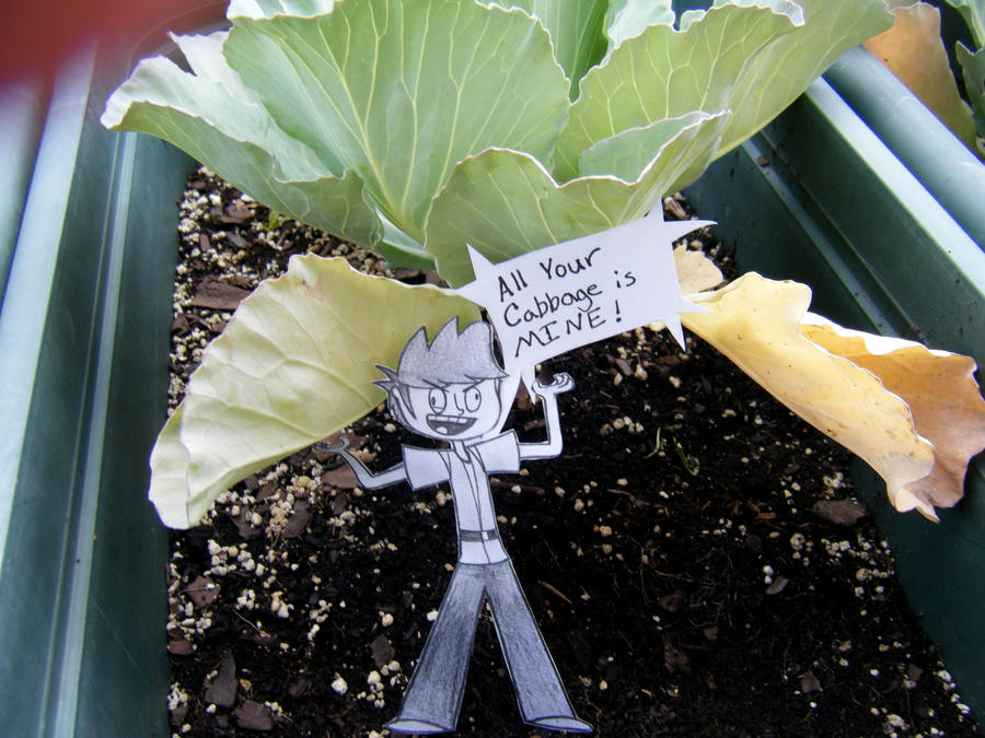 Freaky Cabbage Cabbage: Almost there. by AngryPastry on DeviantArt