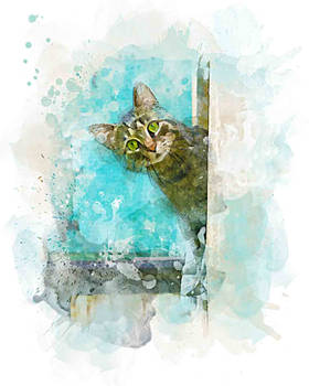Water colour effect 4 | Cat
