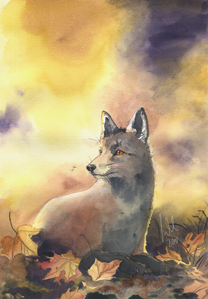 Autumn Fox by Toradh Autumn Fox by Toradh