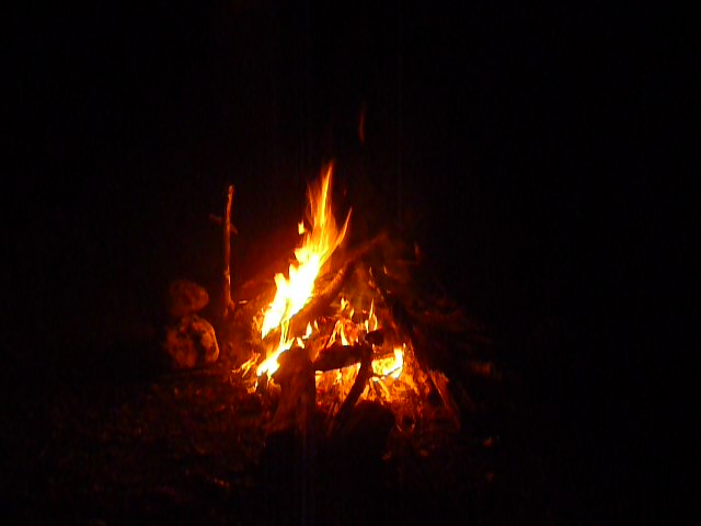 Fire in the woods