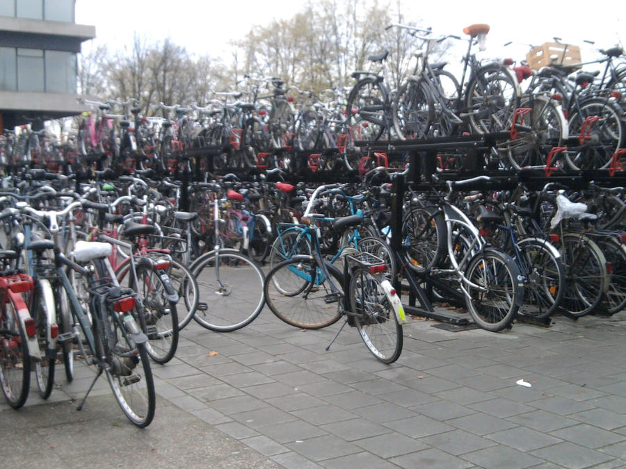A 'Couple' Of Bicycles