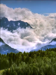 Mist in the Mountains