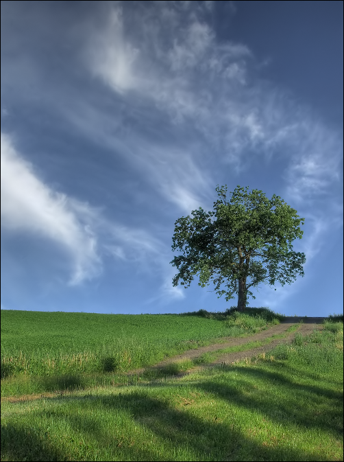Under Big Summer Sky