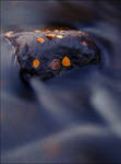 The Island of Autumn by wb-skinner