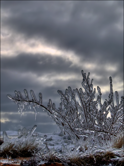 Passage Through Winter 2