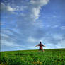 Sky Believer 2