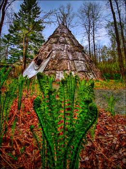 Fern and Tipi