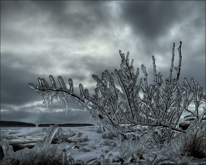 Passage Through Winter