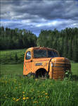 Old Gold's Summer by wb-skinner