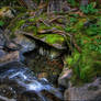 Wood, Rock, and Water