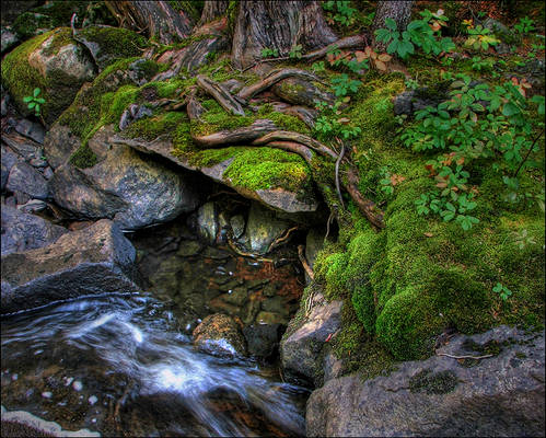 Wood, Rock, and Water