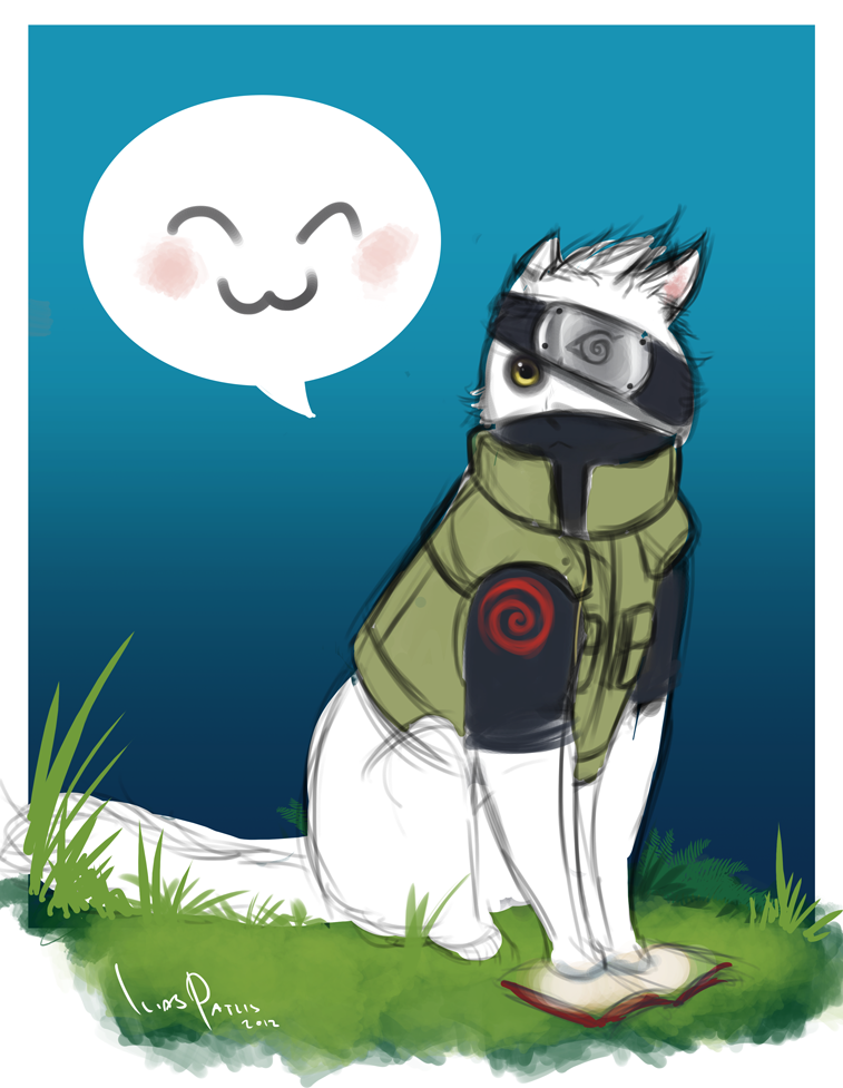 Kakashi perv cat