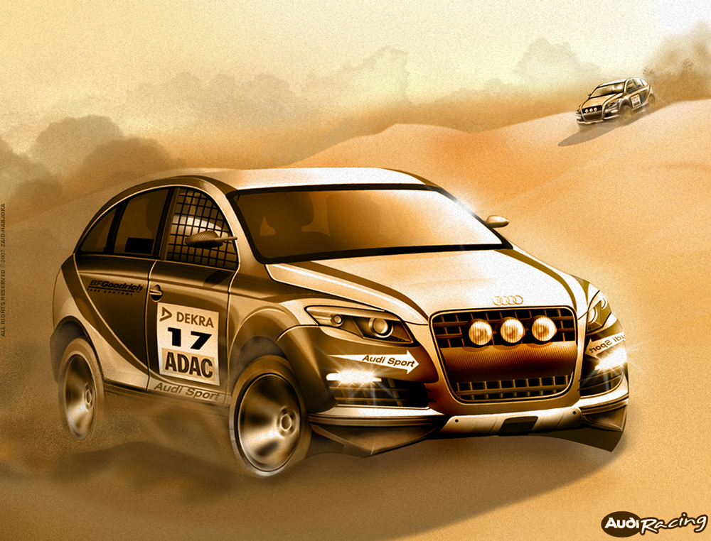 Audi Q5 Rally Sport