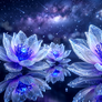 Blue flowers