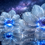 Blue flowers