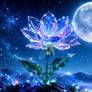 Crystal bloom under a starry night 1-2