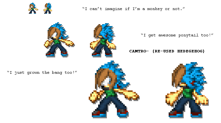 [Re-used]CamTro the Hedgehog