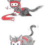 ninja kitties