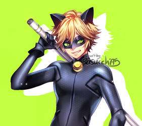 Miraculous ladybug: cat noir