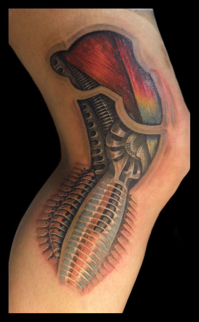 Bionic Knee Vector Bionic knee by xandervoron on DeviantArt