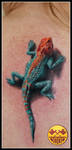 Agama lizard by xandervoron